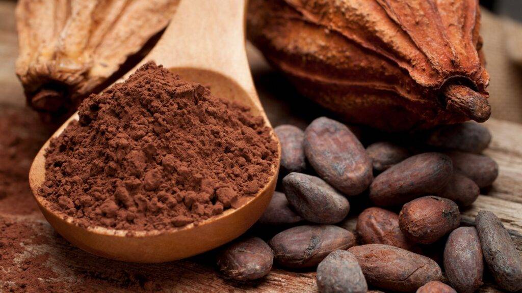 Ważne produkty w diecie: Kakao